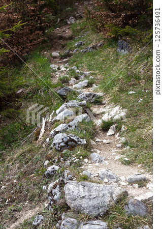 Exploring the rocky trails of Tyrol in Kufstein, Austria, where nature's beauty meets the spirit of adventure 125736491