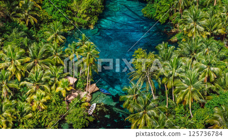 Transparent lake with crystal blue water in Indonesia. Drone view 125736784