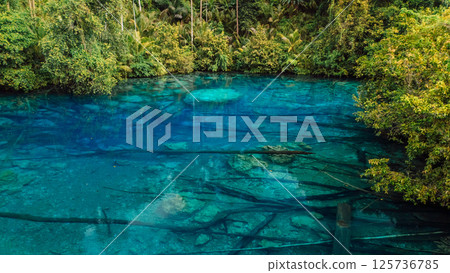 Transparent blue lake with crystal fresh water. Remote destination in Indonesia, paradise tourist attraction Transparent blue lake with crystal fresh water. Remote destination in Indonesia, paradise tourist attraction 125736785
