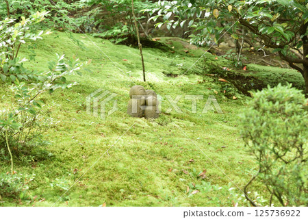 Spring at Shisendo: The adorable Jizo statue in the garden (Sakyo Ward, Kyoto City) 125736922