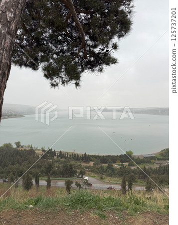 Scenic view of the Tbilisi Reservoir on cloudy day, with pine trees in the foreground and calm water stretching into the misty distance, creating a tranquil and moody landscape Scenic view of the Tbilisi Reservoir on cloudy day, with pine trees in the foreground and calm water stretching into the misty distance, creating a tranquil and moody landscape 125737201