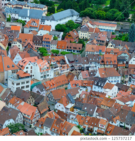 Beautiful panorama of the old town of Mannheim, Germany. Beautiful panorama of the old town of Mannheim, Germany. 125737217