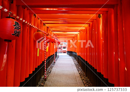 Fushimi Inari Taisha Shrine Main Shrine Festival, Thousand Torii Gates and Paper Lanterns, Summer Festival, Kyoto Tourist Spots Fushimi Inari Taisha Shrine Main Shrine Festival, Thousand Torii Gates and Paper Lanterns, Summer Festival, Kyoto Tourist Spots 125737333
