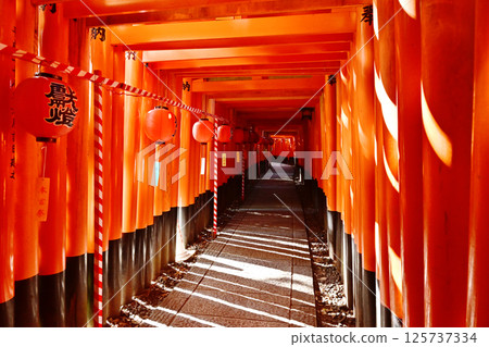 Fushimi Inari Taisha Shrine Main Shrine Festival, Thousand Torii Gates and Paper Lanterns, Summer Festival, Kyoto Tourist Spots Fushimi Inari Taisha Shrine Main Shrine Festival, Thousand Torii Gates and Paper Lanterns, Summer Festival, Kyoto Tourist Spots 125737334