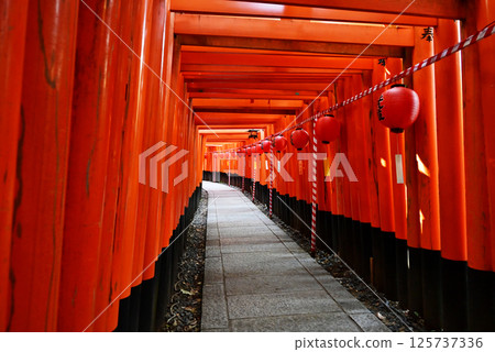 Fushimi Inari Taisha Shrine Main Shrine Festival, Thousand Torii Gates and Paper Lanterns, Summer Festival, Kyoto Tourist Spots 125737336