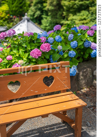 Yanagidani Kannon Yanagidani Temple, wooden bench with heart window among hydrangeas Yanagidani Kannon Yanagidani Temple, wooden bench with heart window among hydrangeas 125737815