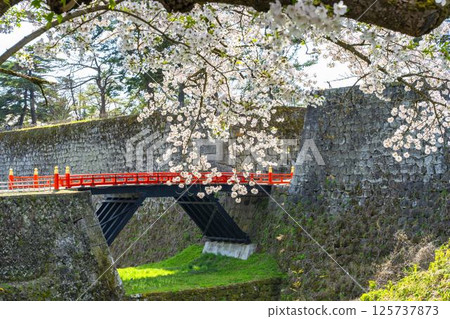 Cherry blossoms in full bloom and the corridor bridge at Tsuruga Castle (Aizu-Wakamatsu Castle) in Aizu-Wakamatsu, Fukushima Prefecture Cherry blossoms in full bloom and the corridor bridge at Tsuruga Castle (Aizu-Wakamatsu Castle) in Aizu-Wakamatsu, Fukushima Prefecture 125737873