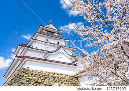 福島縣會津若松市櫻花盛開的敦賀城(若松城) 福島縣會津若松市櫻花盛開的敦賀城(若松城) 125737895