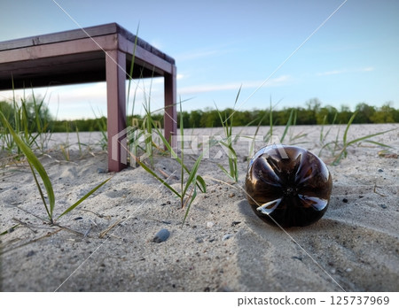 A brown plastic bottle is lying like garbage on the beach, next to a bench for relaxing. A plastic bottle is like trash on the beach. Close up pedestal shot A brown plastic bottle is lying like garbage on the beach, next to a bench for relaxing. A plastic bottle is like trash on the beach. Close up pedestal shot 125737969