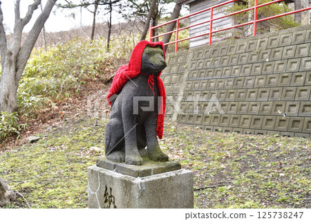Photographing the grounds of Ishikura Inari Shrine in spring in Hakodate, Hokkaido 125738247