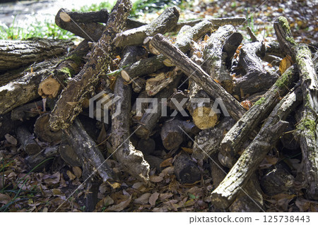 Stacked firewood Stacked firewood 125738443