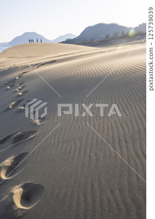 Beautiful scenery of Tottori sand dune 125739039