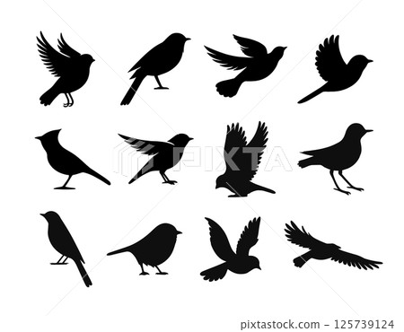 Vector birds silhouette fly sparrow icon. Animal dove bird silhouette raven feather perch cardinal 125739124