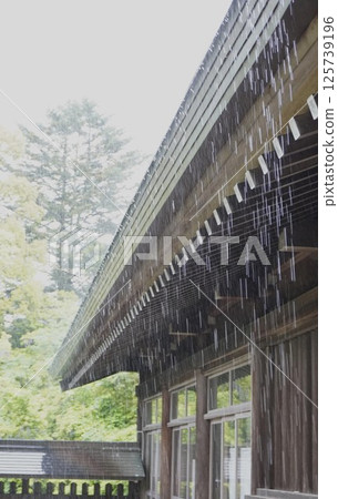 Taking shelter from the rain in the shrine grounds Taking shelter from the rain in the shrine grounds 125739196