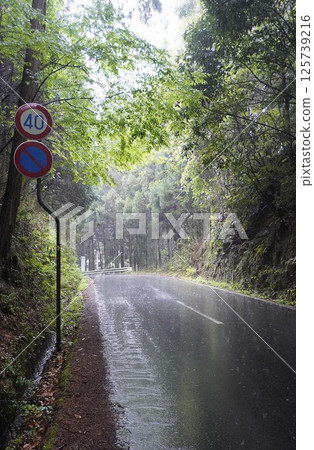 The approach to Yoshino Shrine is raining 125739216