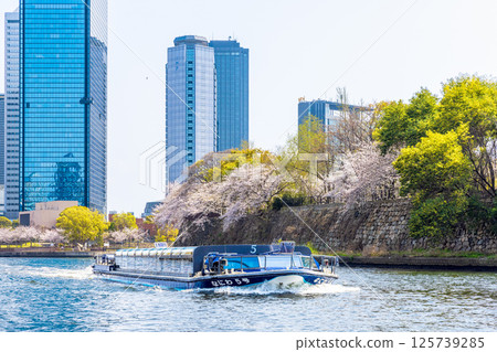 Osaka Castle Park (April, sunny) 125739285