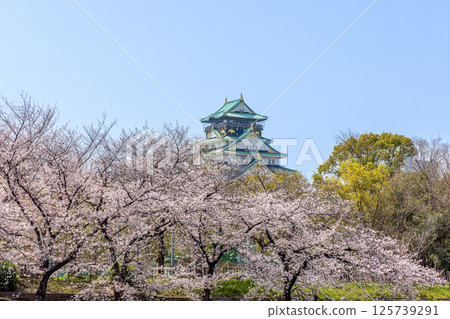 大阪城公園（4月，晴） 125739291