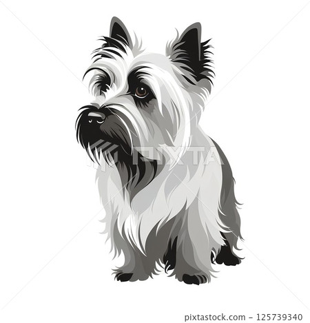 Cute Skye Terrier illustration 125739340
