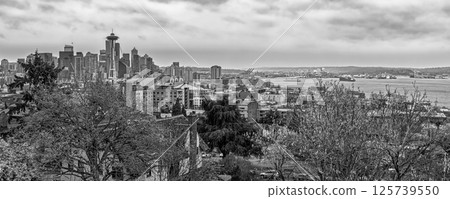 Space Needle, Seattle, USA Space Needle, Seattle, USA 125739550