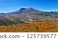 Mount Helens, Washington, USA 125739577