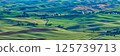 Palouse 125739713