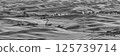 Palouse 125739714
