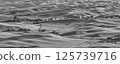 Palouse 125739716