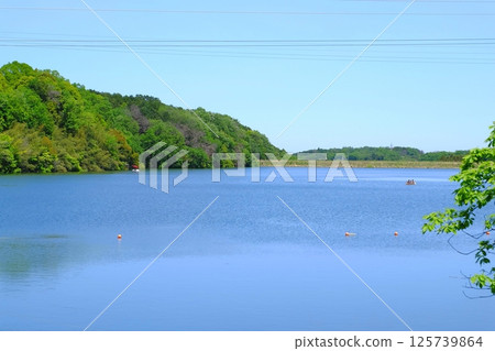 Hanno Lake Miyazawa Hanno Lake Miyazawa 125739864