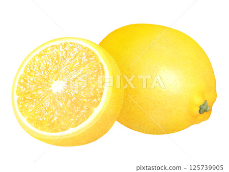 新鮮檸檬手繪插畫_水彩_整個和切片檸檬_柑橘類水果 125739905