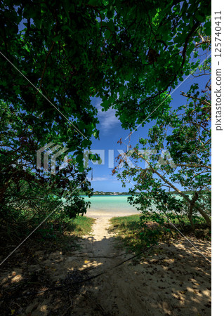 A spectacular beach on Ishigaki Island, reached through a green tunnel A spectacular beach on Ishigaki Island, reached through a green tunnel 125740411