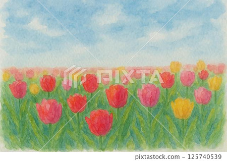 Tulip field 125740539