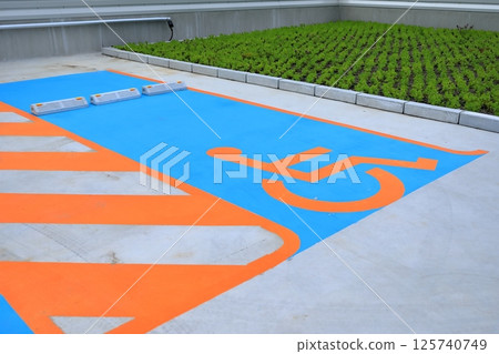 殘疾人停車場 125740749