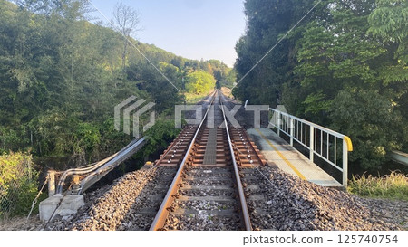 Rural local railroad tracks 125740754