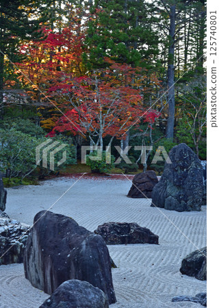 Mount Koya: Autumn at Kongobu-ji Temple's Banryu Garden 125740801