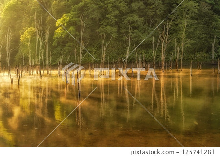 Golden hour 125741281