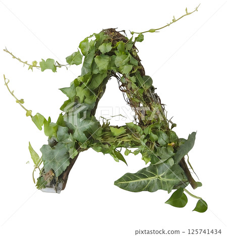 Plants and vines in the form of the letter A isolated on a transparent background  125741434
