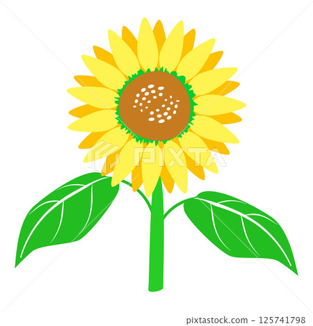 簡單的向日葵夏季插畫素材,單花,花,葉,莖,向量,png 簡單的向日葵夏季插畫素材,單花,花,葉,莖,向量,png 125741798