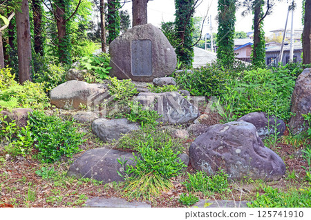 井田神社（上越） 125741910