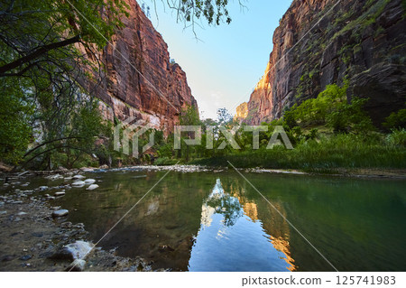 Zion Canyon River at Golden Hour with Eye-Level Reflection Zion Canyon River at Golden Hour with Eye-Level Reflection 125741983