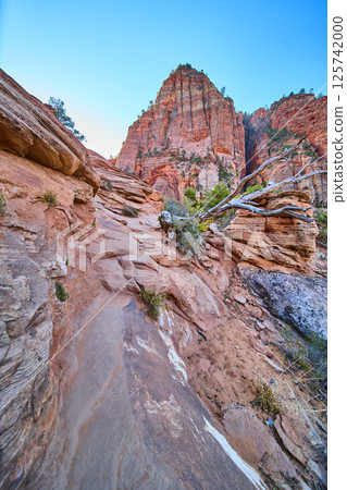 Zion Sandstone Cliffs and Trail Low Angle Perspective Zion Sandstone Cliffs and Trail Low Angle Perspective 125742000