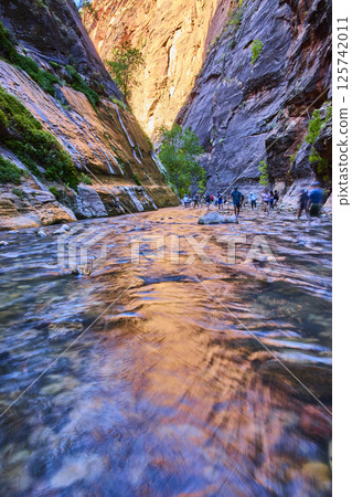Hikers in Zion Narrows Canyon River at Golden Hour Low-Angle View Hikers in Zion Narrows Canyon River at Golden Hour Low-Angle View 125742011