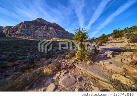 Red Rock Canyon Sandstone Cliffs and Desert Trail at Eye Level Red Rock Canyon Sandstone Cliffs and Desert Trail at Eye Level 125742016
