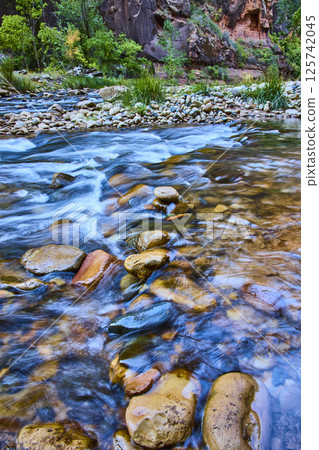 Tranquil River Flow Zion Cliffs Eye-Level Perspective Tranquil River Flow Zion Cliffs Eye-Level Perspective 125742045