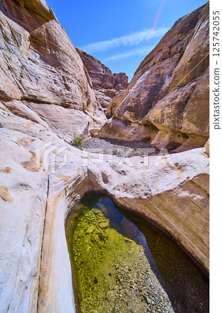 Red Rock Canyon Desert with Reflective Pool Eye-Level Perspective 125742055