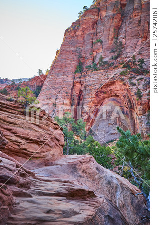 Zion National Park Red Rock Cliffs and Path at Golden Hour Perspective 125742061