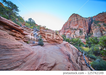 Rugged Red Rock Cliffs in Zion National Park Eye-Level Perspective 125742149