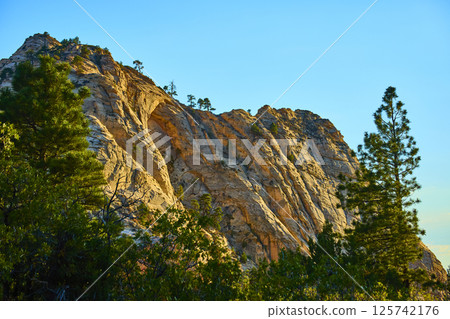 Kolob Canyon Rocky Cliff at Golden Hour Framed by Pine Trees Elevated View 125742176