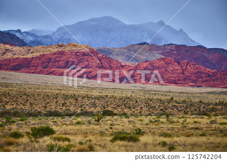 Red Rock Canyon Vibrant Formations with Snowy Mountains in Background Red Rock Canyon Vibrant Formations with Snowy Mountains in Background 125742204