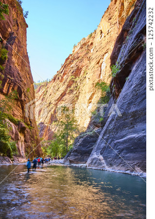 Hiking Adventure in Zion Narrows Eye Level Perspective Hiking Adventure in Zion Narrows Eye Level Perspective 125742232