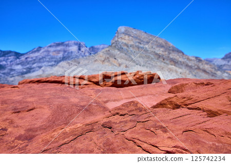 Red Rock Canyon and Turtlehead Peak Desert Scenery Eye-Level View 125742234